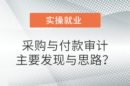 采購(gòu)與付款審計(jì)主要發(fā)現(xiàn)與思路？