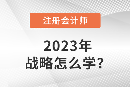注冊(cè)會(huì)計(jì)師戰(zhàn)略2023年怎么學(xué)？
