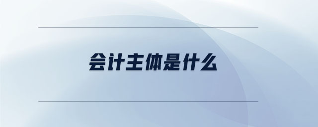 會計主體是什么