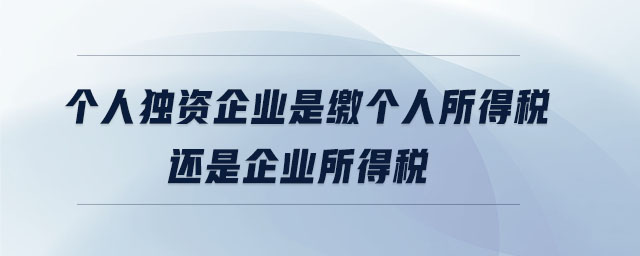 個(gè)人獨(dú)資企業(yè)是繳個(gè)人所得稅還是企業(yè)所得稅