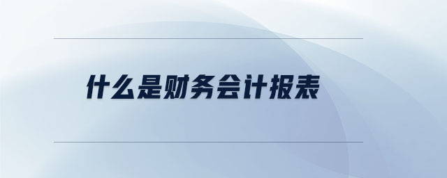 什么是財務(wù)會計報表