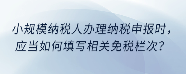 小規(guī)模納稅人在辦理增值稅納稅申報時，應當如何填寫相關免稅欄次？