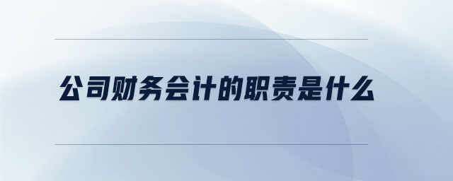 公司財務(wù)會計的職責(zé)是什么