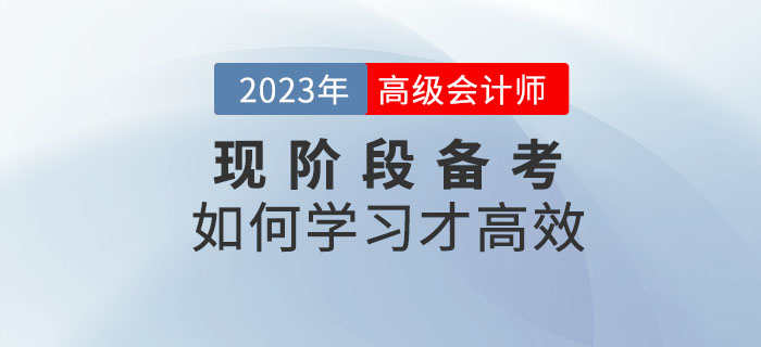 2023年高級會計師備考如何學(xué)習才高效？