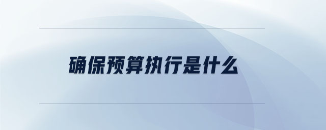 確保預(yù)算執(zhí)行是什么