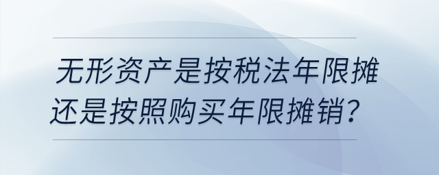 無形資產(chǎn)是按稅法年限攤還是按照購買年限，按購買年限會有暫時性差異吧？