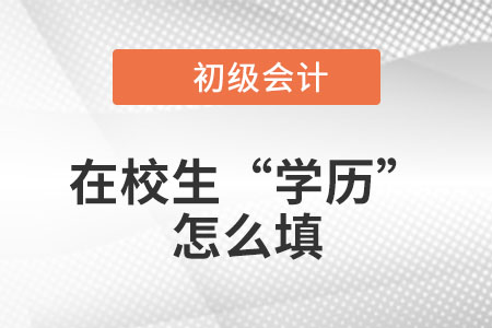 在校大學(xué)生2023年初級會計職稱報名信息表中的“學(xué)歷”怎么填？