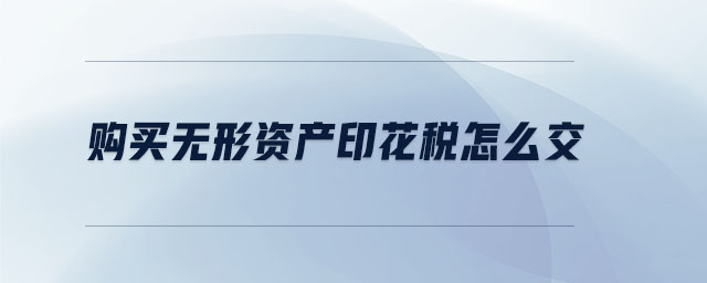 購(gòu)買(mǎi)無(wú)形資產(chǎn)印花稅怎么交