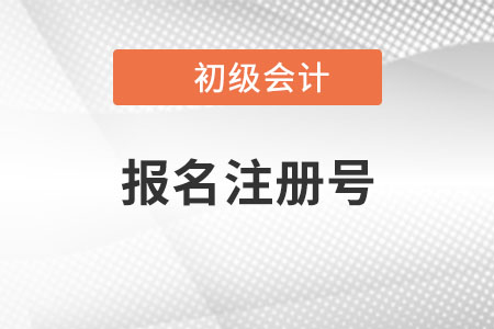 初級會計報名注冊號是什么？有什么用？
