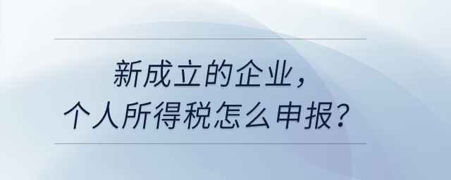 新成立的企業(yè)，個(gè)人所得稅怎么申報(bào)？