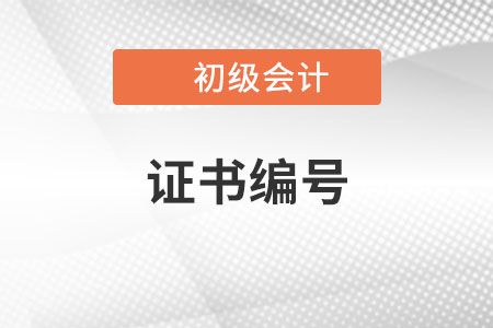 2023年初級(jí)會(huì)計(jì)報(bào)名表上有兩個(gè)證書編號(hào)，怎么填？