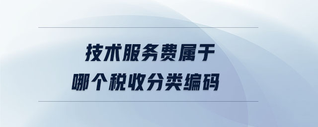 技術(shù)服務(wù)費(fèi)屬于哪個稅收分類編碼