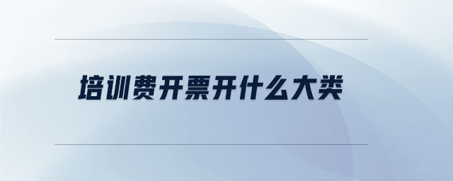 培訓(xùn)費(fèi)開票開什么大類
