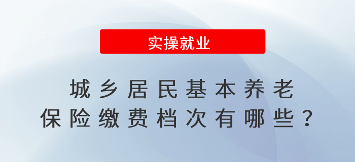 城鄉(xiāng)居民基本養(yǎng)老保險(xiǎn)繳費(fèi)檔次有哪些？