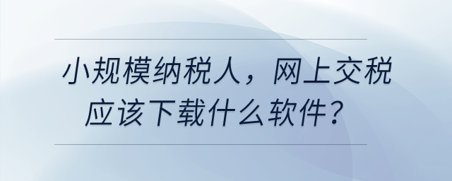 小規(guī)模納稅人，網上交稅應該下載什么軟件？