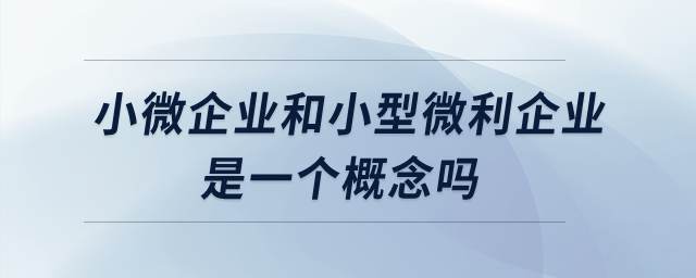 小微企業(yè)和小型微利企業(yè)是一個(gè)概念嗎？