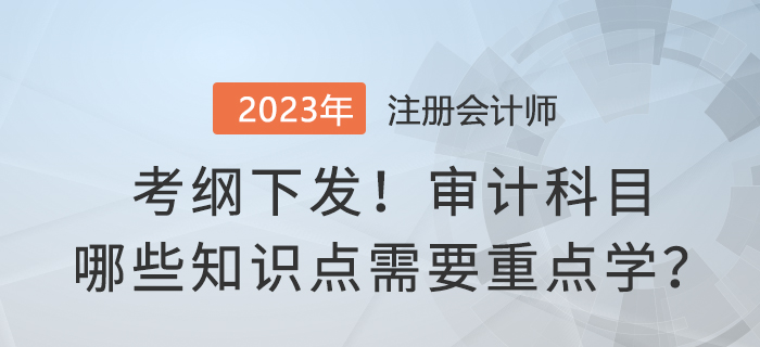 考綱下發(fā)！2023年注會(huì)審計(jì)哪些知識(shí)點(diǎn)需要重點(diǎn)學(xué)？