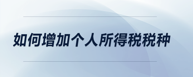 如何增加個人所得稅稅種？
