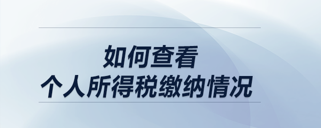 如何查看個人所得稅繳納情況？