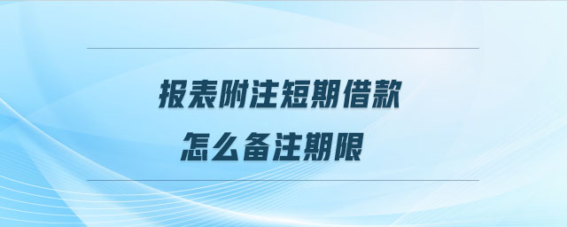 報(bào)表附注短期借款怎么備注期限