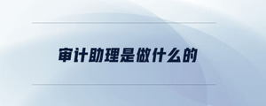 審計(jì)助理是做什么的