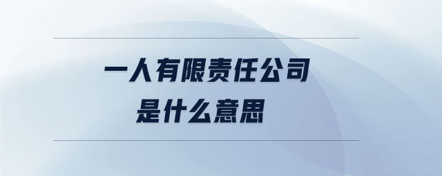 一人有限責任公司是什么意思