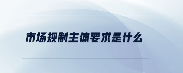 市場(chǎng)規(guī)制主體要求是什么