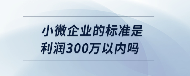 小微企業(yè)的標(biāo)準(zhǔn)是利潤300萬以內(nèi)嗎？