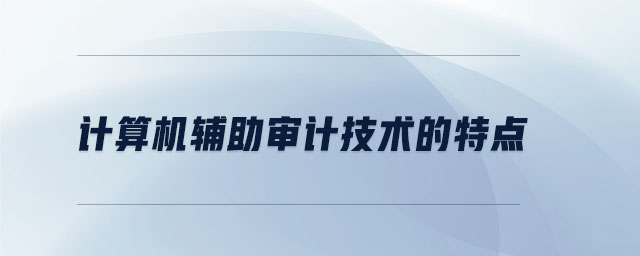 計(jì)算機(jī)輔助審計(jì)技術(shù)的特點(diǎn)