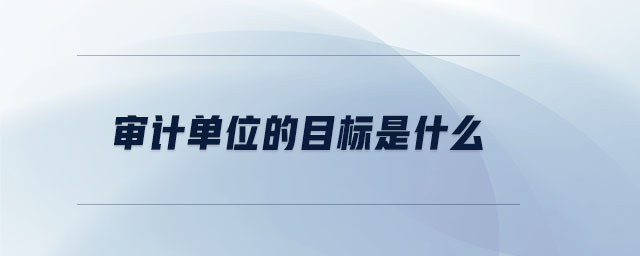 審計單位的目標是什么