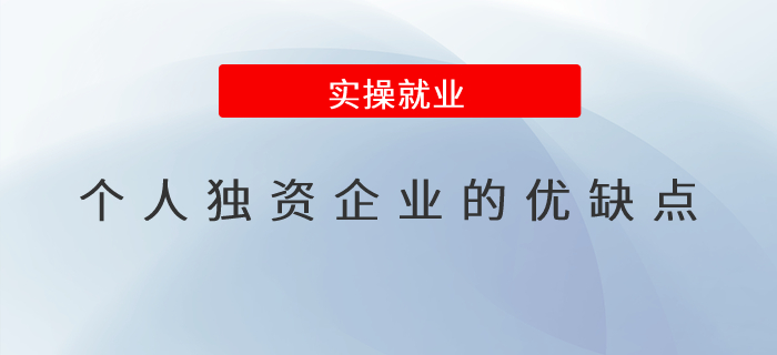 個(gè)人獨(dú)資企業(yè)的優(yōu)缺點(diǎn)有哪些？