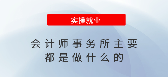會計(jì)師事務(wù)所主要都是做什么的？
