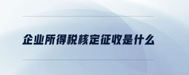 企業(yè)所得稅核定征收是什么