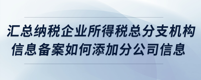 匯總納稅企業(yè)所得稅總分支機構(gòu)信息備案如何添加分公司信息？