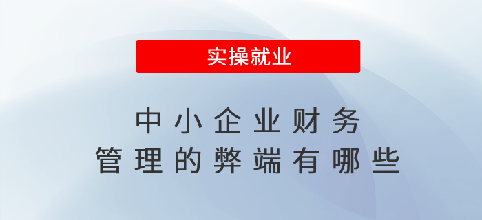 中小企業(yè)財(cái)務(wù)管理的弊端有哪些