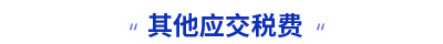 其他應(yīng)交稅費