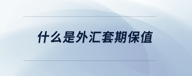 什么是外匯套期保值？