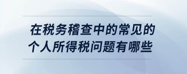 在稅務(wù)稽查中的常見的個(gè)人所得稅問(wèn)題有哪些？