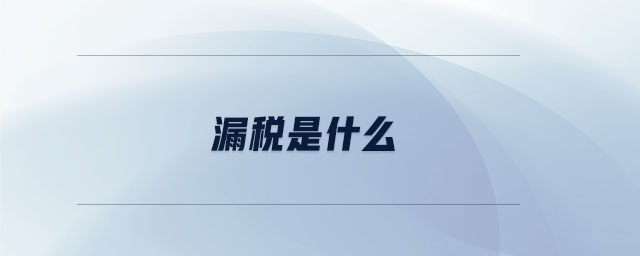 漏稅是什么