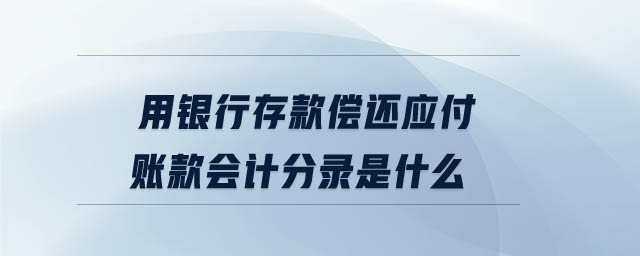 用銀行存款償還應(yīng)付賬款會(huì)計(jì)分錄是什么