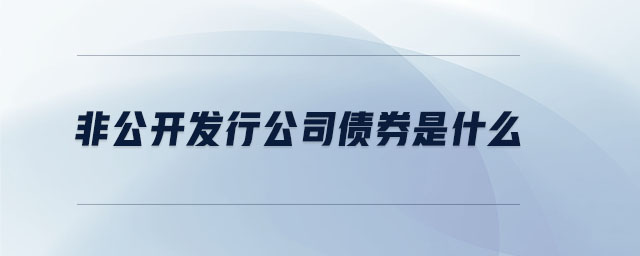 非公開發(fā)行公司債券是什么