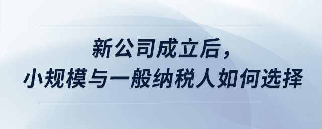 新公司成立后，小規(guī)模與一般納稅人如何選擇？