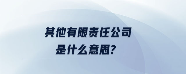 其他有限責任公司是什么意思