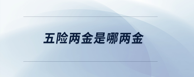 五險兩金是哪兩金？