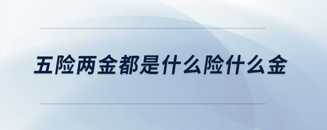 五險(xiǎn)兩金都是什么險(xiǎn)什么金？