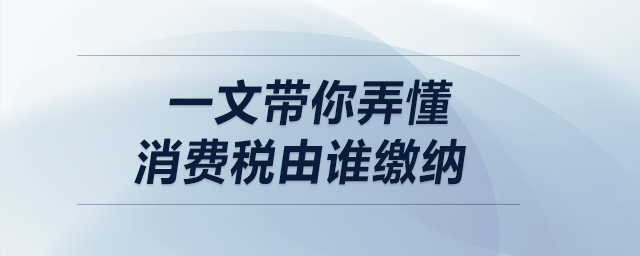 一文帶你弄懂消費(fèi)稅由誰繳納！