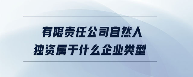 有限責(zé)任公司自然人獨資屬于什么企業(yè)類型