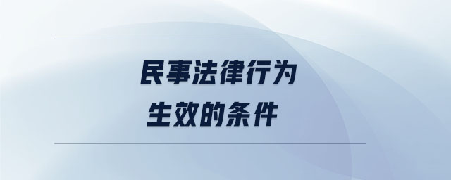 民事法律行為生效的條件