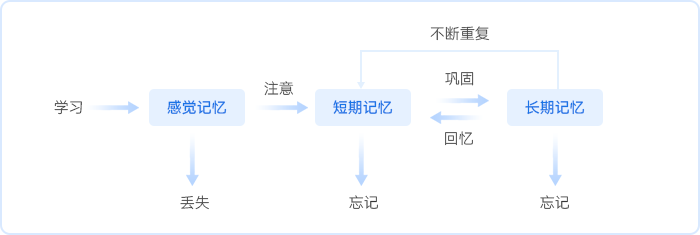 中級會(huì)計(jì)人的三大記憶感覺記憶短期記憶和長期記憶