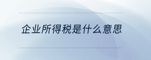 企業(yè)所得稅是什么意思？